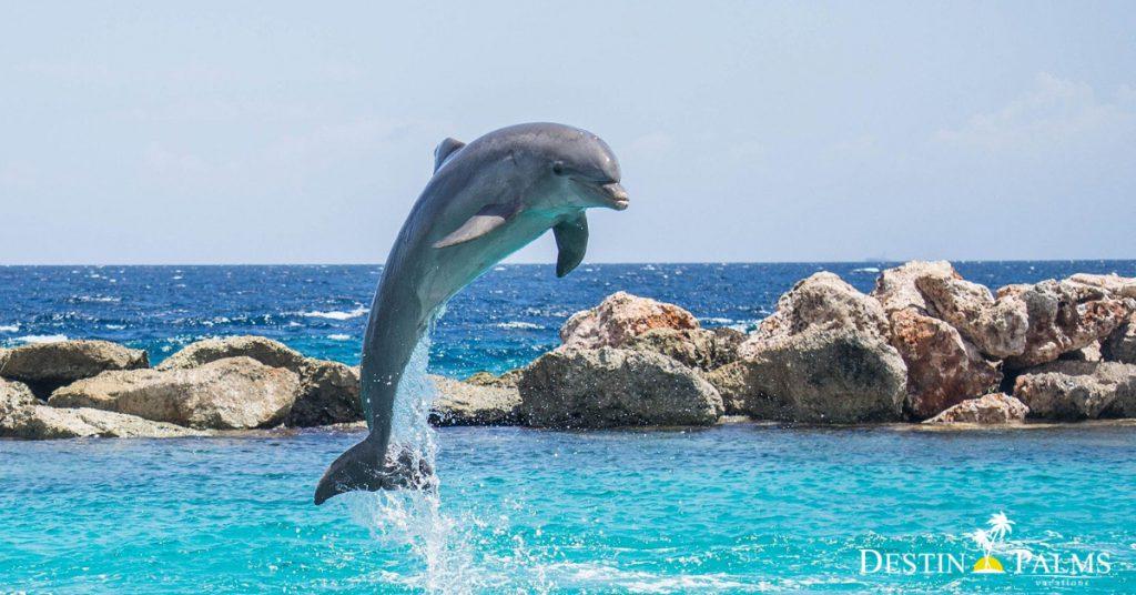 Fall Festivals in Destin